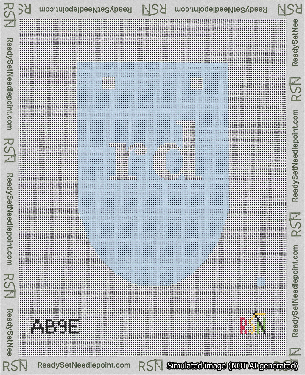 A taped needlepoint canvas with the design: Banner 18 mesh count Rounded rd White on Light Blue.