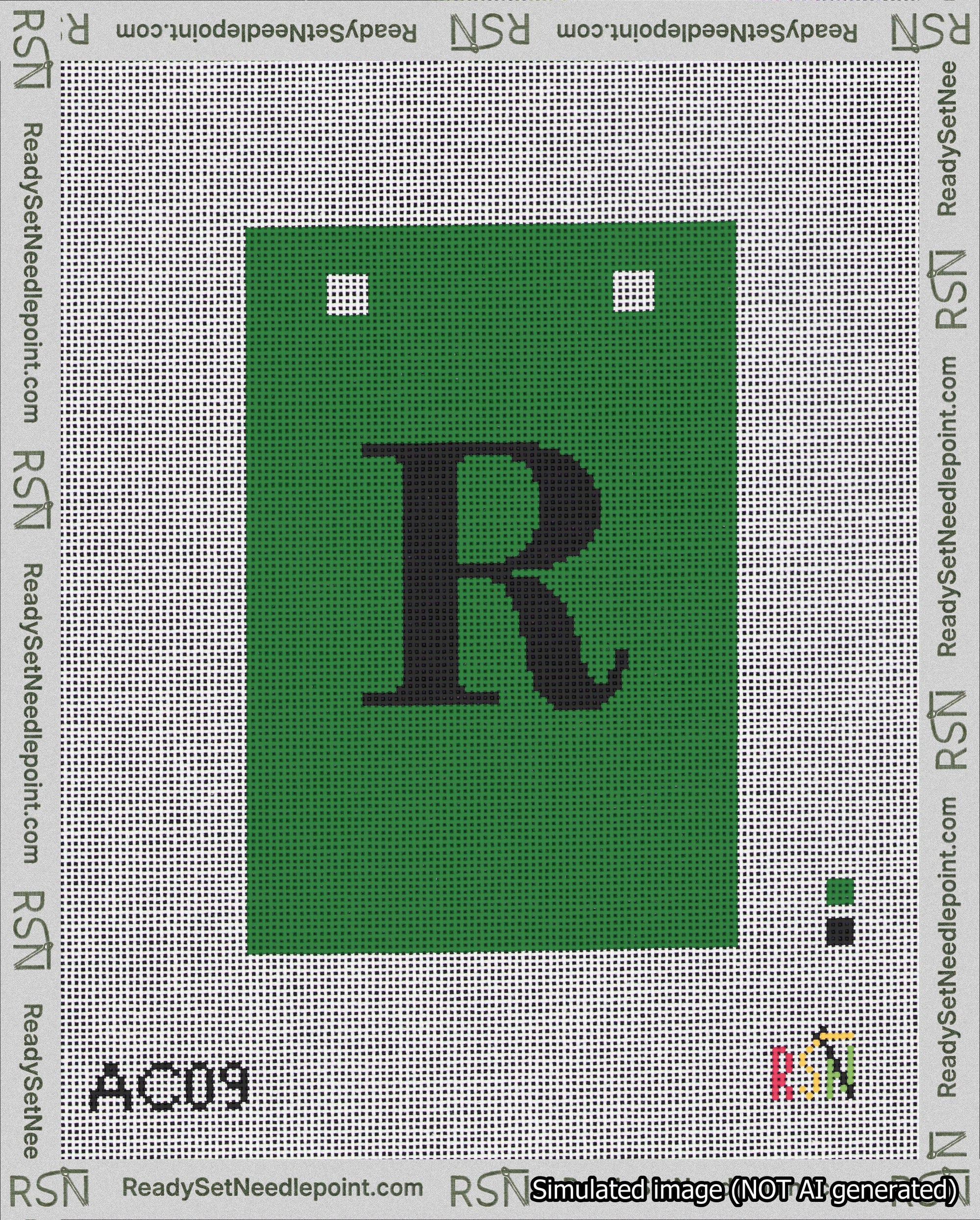 A taped needlepoint canvas with the design: Banner 18 mesh count Squared R Black on Green.
