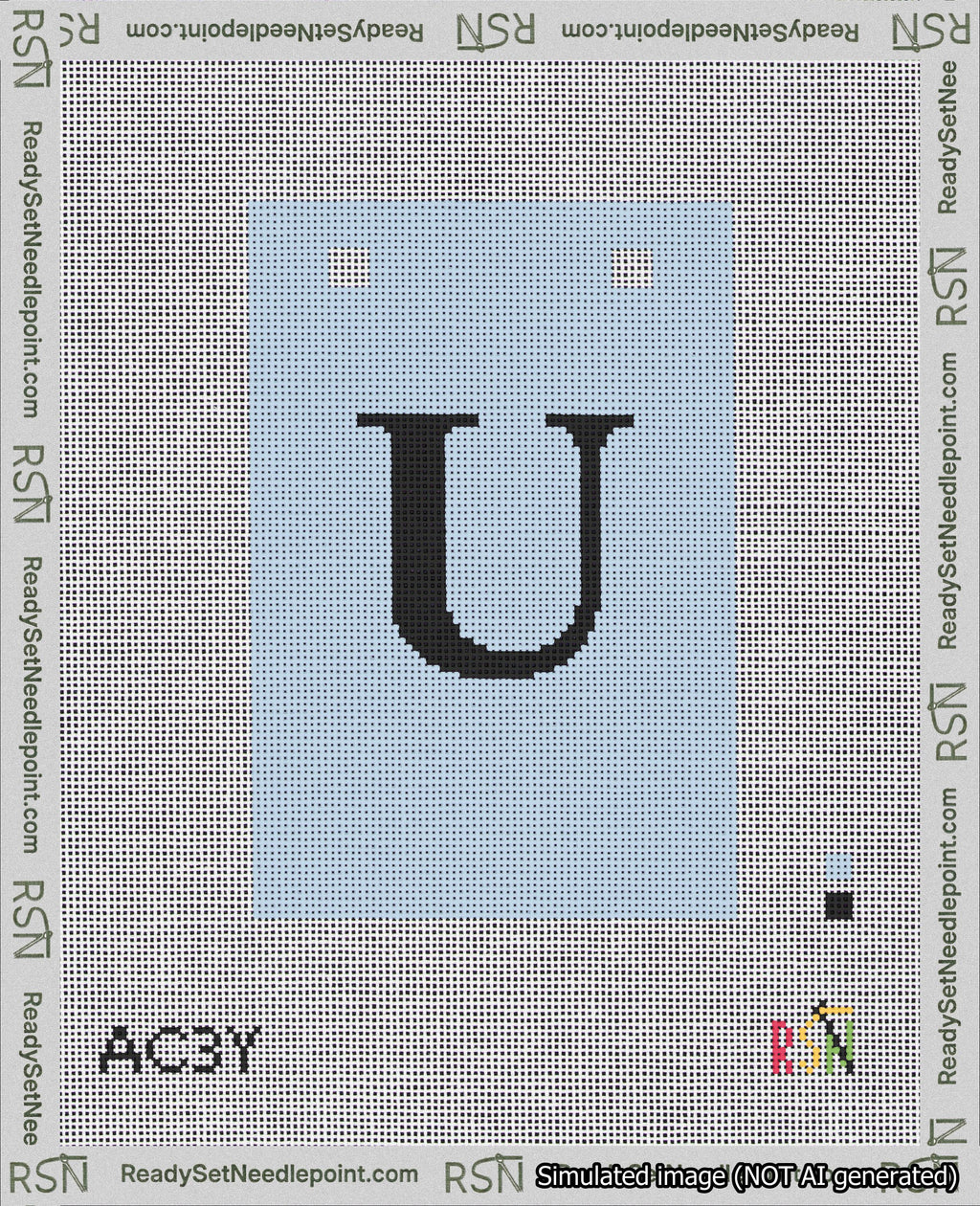 A taped needlepoint canvas with the design: Banner 18 mesh count Squared U Black on Light Blue.