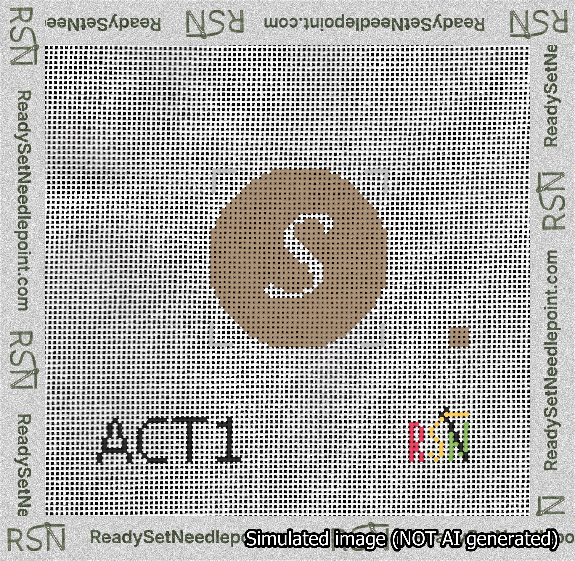 Circle Initial S Needlepoint Canvas Design