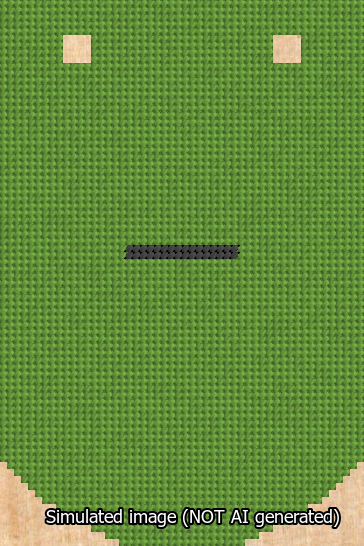 A simulated image of the stitched needlepoint design: Banner 13m Curved Dash Black on Light Green. Not A.I. generated.