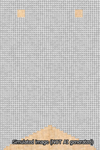 A simulated image of the stitched needlepoint design: Banner 13m Forked Blank White. Not A.I. generated.