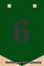 A simulated image of the stitched needlepoint design: Banner 13m Pointed 6 Black on Green. Not A.I. generated.