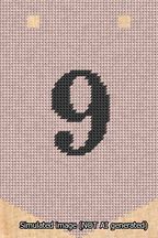 A simulated image of the stitched needlepoint design: Banner 13m Pointed 9 Black on Pink. Not A.I. generated.