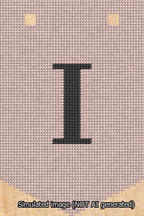 A simulated image of the stitched needlepoint design: Banner 13m Pointed I Black on Pink. Not A.I. generated.