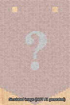 A simulated image of the stitched needlepoint design: Banner 13m Pointed Question White on Pink. Not A.I. generated.