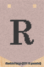 A simulated image of the stitched needlepoint design: Banner 13m Pointed R Black on Pink. Not A.I. generated.