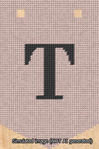 A simulated image of the stitched needlepoint design: Banner 13m Pointed T Black on Pink. Not A.I. generated.