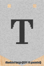 A simulated image of the stitched needlepoint design: Banner 13m Pointed T Black on White. Not A.I. generated.