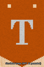 A simulated image of the stitched needlepoint design: Banner 13m Pointed T White on Orange. Not A.I. generated.