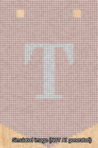 A simulated image of the stitched needlepoint design: Banner 13m Pointed T White on Pink. Not A.I. generated.