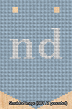 A simulated image of the stitched needlepoint design: Banner 13m Pointed nd White on Light Blue. Not A.I. generated.