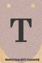 A simulated image of the stitched needlepoint design: Banner 13m Rounded T Black on Pink. Not A.I. generated.
