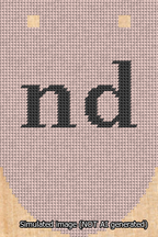 A simulated image of the stitched needlepoint design: Banner 13m Rounded nd Black on Pink. Not A.I. generated.