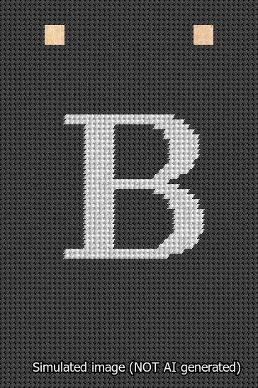 A simulated image of the stitched needlepoint design: Banner 13m Squared B White on Black. Not A.I. generated.