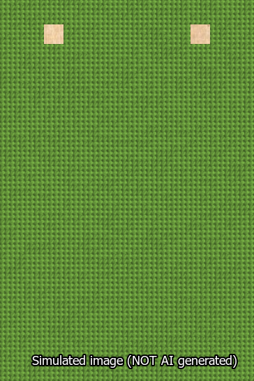 A simulated image of the stitched needlepoint design: Banner 13m Squared Blank Light Green. Not A.I. generated.