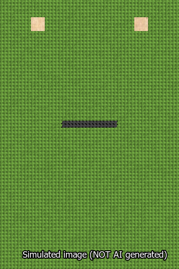A simulated image of the stitched needlepoint design: Banner 13m Squared Dash Black on Light Green. Not A.I. generated.