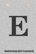 A simulated image of the stitched needlepoint design: Banner 13m Squared E Black on White. Not A.I. generated.