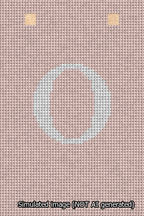 A simulated image of the stitched needlepoint design: Banner 13m Squared O White on Pink. Not A.I. generated.