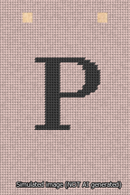 A simulated image of the stitched needlepoint design: Banner 13m Squared P Black on Pink. Not A.I. generated.