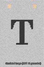 A simulated image of the stitched needlepoint design: Banner 13m Squared T Black on White. Not A.I. generated.