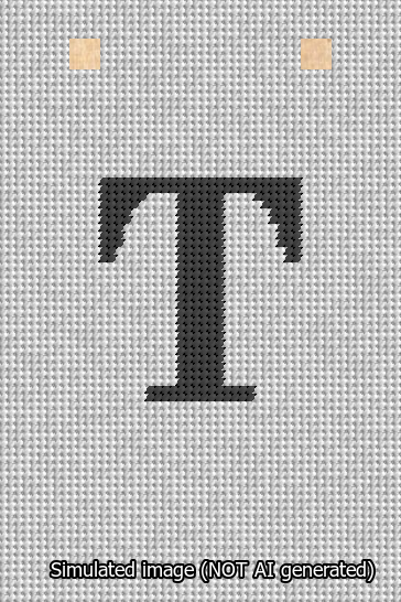 A simulated image of the stitched needlepoint design: Banner 13m Squared T Black on White. Not A.I. generated.