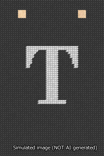 A simulated image of the stitched needlepoint design: Banner 13m Squared T White on Black. Not A.I. generated.