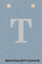 A simulated image of the stitched needlepoint design: Banner 13m Squared T White on Light Blue. Not A.I. generated.