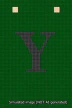 A simulated image of the stitched needlepoint design: Banner 13m Squared Y Black on Green. Not A.I. generated.