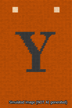 A simulated image of the stitched needlepoint design: Banner 13m Squared Y Black on Orange. Not A.I. generated.