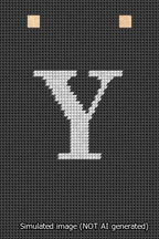 A simulated image of the stitched needlepoint design: Banner 13m Squared Y White on Black. Not A.I. generated.
