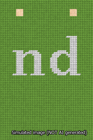 A simulated image of the stitched needlepoint design: Banner 13m Squared nd White on Light Green. Not A.I. generated.