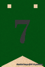 A simulated image of the stitched needlepoint design: Banner 18m Forked 7 Black on Green. Not A.I. generated.