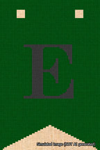A simulated image of the stitched needlepoint design: Banner 18m Forked E Black on Green. Not A.I. generated.