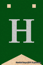 A simulated image of the stitched needlepoint design: Banner 18m Forked H White on Green. Not A.I. generated.