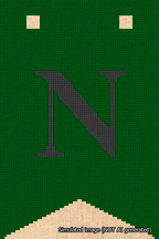 A simulated image of the stitched needlepoint design: Banner 18m Forked N Black on Green. Not A.I. generated.
