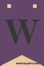 A simulated image of the stitched needlepoint design: Banner 18m Forked W Black on Purple. Not A.I. generated.