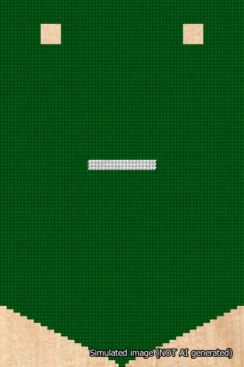 A simulated image of the stitched needlepoint design: Banner 18m Pointed Dash White on Green. Not A.I. generated.