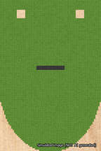 A simulated image of the stitched needlepoint design: Banner 18m Rounded Dash Black on Light Green. Not A.I. generated.