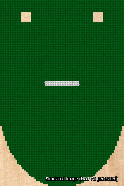 A simulated image of the stitched needlepoint design: Banner 18m Rounded Dash White on Green. Not A.I. generated.