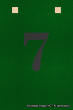 A simulated image of the stitched needlepoint design: Banner 18m Squared 7 Black on Green. Not A.I. generated.