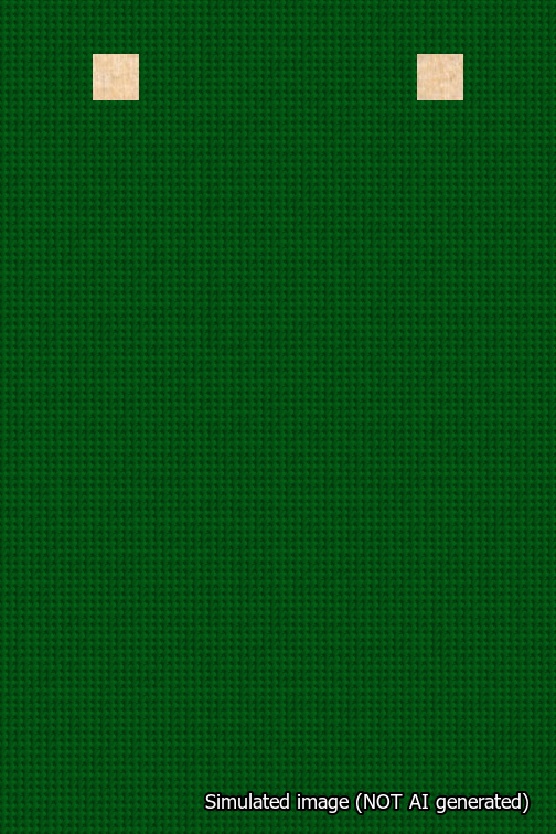 A simulated image of the stitched needlepoint design: Banner 18m Squared Blank Green. Not A.I. generated.