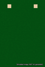 A simulated image of the stitched needlepoint design: Banner 18m Squared Blank Green. Not A.I. generated.