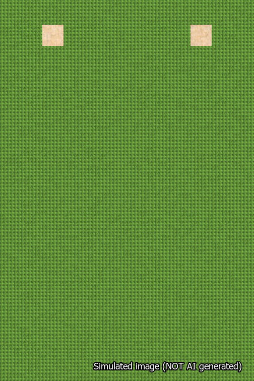 A simulated image of the stitched needlepoint design: Banner 18m Squared Blank Light Green. Not A.I. generated.