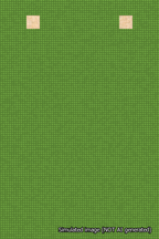 A simulated image of the stitched needlepoint design: Banner 18m Squared Blank Light Green. Not A.I. generated.