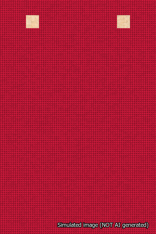 A simulated image of the stitched needlepoint design: Banner 18m Squared Blank Red. Not A.I. generated.