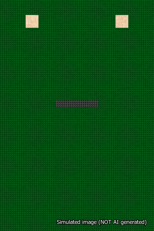 A simulated image of the stitched needlepoint design: Banner 18m Squared Dash Black on Green. Not A.I. generated.