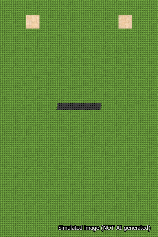 A simulated image of the stitched needlepoint design: Banner 18m Squared Dash Black on Light Green. Not A.I. generated.