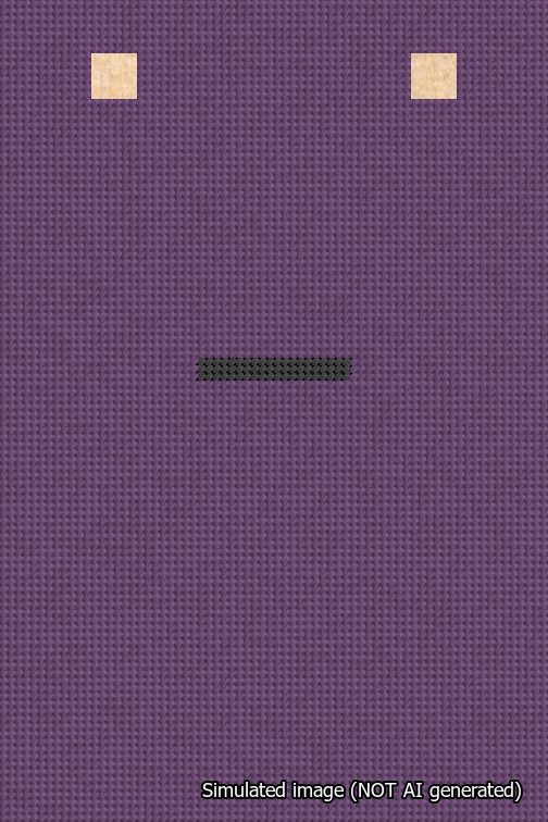 A simulated image of the stitched needlepoint design: Banner 18m Squared Dash Black on Purple. Not A.I. generated.