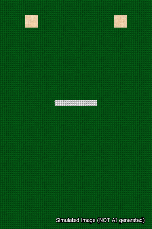 A simulated image of the stitched needlepoint design: Banner 18m Squared Dash White on Green. Not A.I. generated.